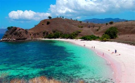 Pantai Pink Di Pulau Komodo Yang Cantik Gotravelly