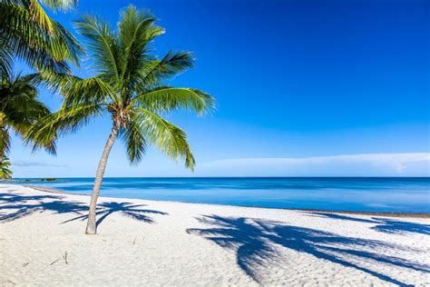 10 Best Beaches In The Florida Keys Planetware