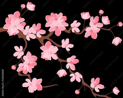 Vector Illustration Branch Of Japanese Cherry Blossoms With Beautiful