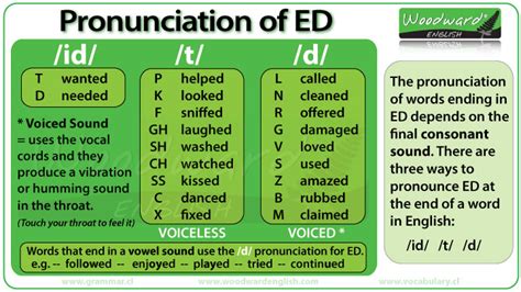 Ed Pronunciation In English Woodward English