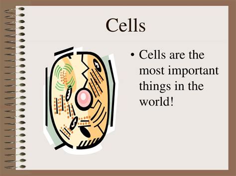 Ppt Cells Powerpoint Presentation Free Download Id3121951
