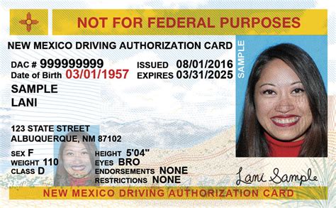 Your First Time New Mexico Drivers License Guide Driving Guide