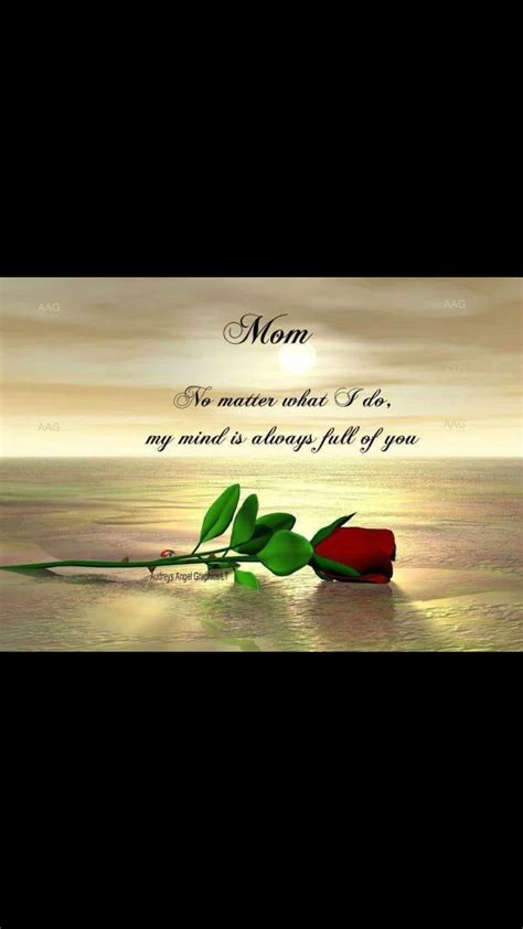 A Mothers Day Card With A Rose On The Water