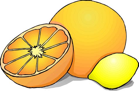 Citrus Fruit Clipart 20 Free Cliparts Download Images On