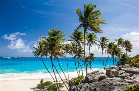 Bottom Bay Beach In Barbados Stock Image Colourbox