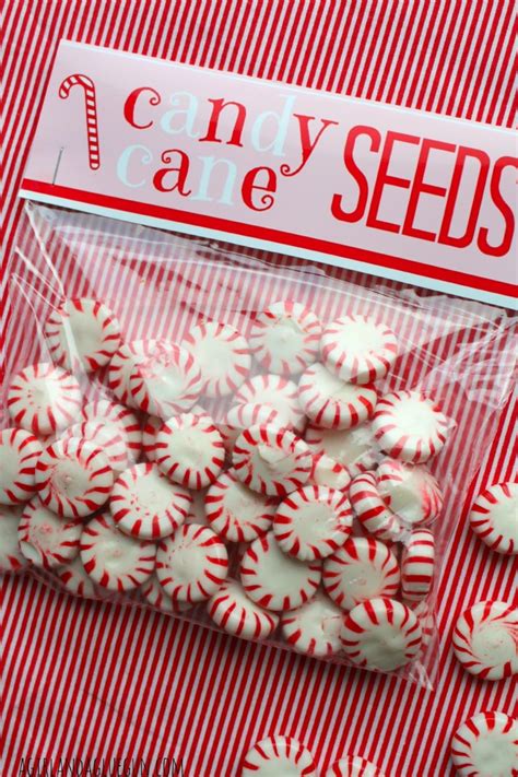 Now, my friends, here is your free printable: Candy cane seeds printables - A girl and a glue gun