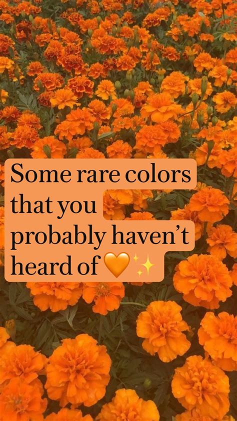 Some Rare Colors That You Probably Havent Heard Of 🧡