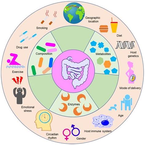 Targeting Gut Microbiota For Precision Medicine Focusing On The