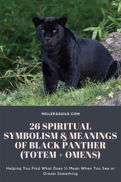 26 Spiritual Symbolism And Meanings Of Black Panther Totem Omens