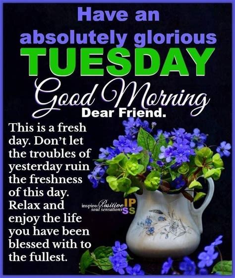 pin by violet rose on days of the week and good morning quotes happy tuesday quotes tuesday