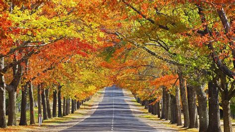 Free Download Beautiful Autumn Season Wallpaper Hd Beautiful Autumn