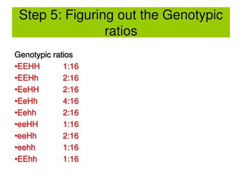 Ppt Genotypic And Phenotypic Ratios Powerpoint Presentation Free Download Id3705986