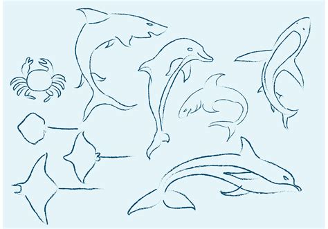 Sea Life Sketches Download Free Vector Art Stock