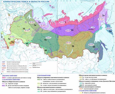 Есть салатовая диета
