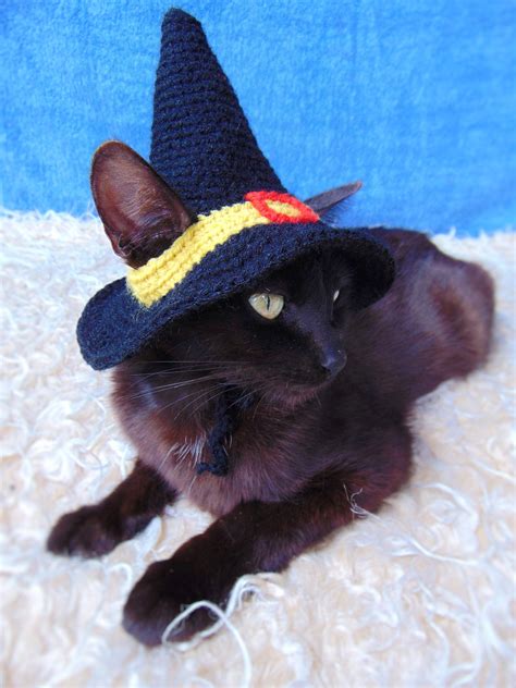Witch Hat For Cat Halloween Pet Costume Crocheted Witch