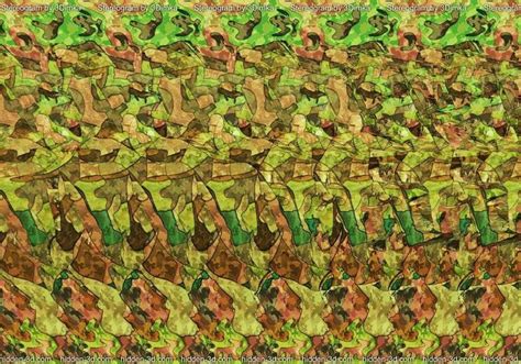 Pin By Brett Jones On 3d Images Stereograms Magic Illusions Magic Eye Pictures Illusion Pictures