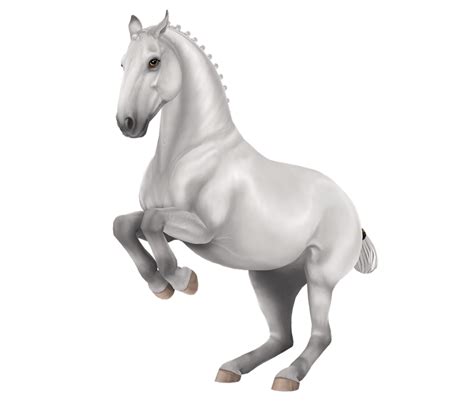 Lipizzaner Horse Breed Star Stable