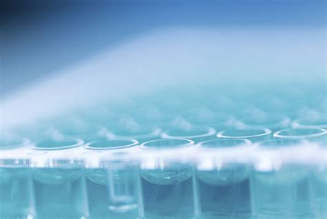 10 Tips For Successful Cell Based Assays Enzo Life Sciences