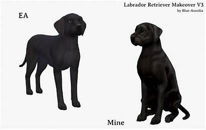 Ancolia Retriever Labrador Makeover V3 Pets She