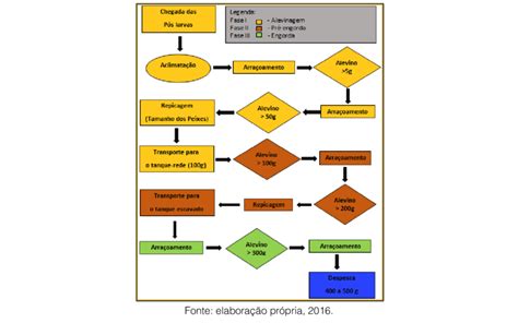 Fluxograma Do Processo Produtivo Da Caixa Conjugada F Vrogue Co