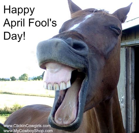 Happy April Fools Day Laughing Animals Smiling Animals Funny Animals