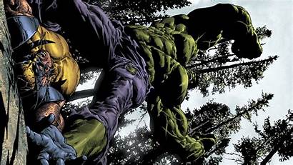 Hulk Wolverine Vs Wallpapers Avante источник Biz