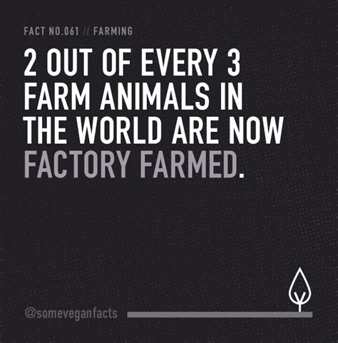 2 Out Of Every 3 Farm Animals In The World Are Now Factory Farmed