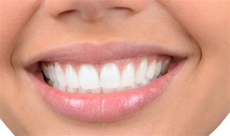 healthy gums keep your gums healthy with your dentist in el reno anacollege