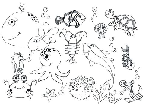 Ocean Animals Coloring Pages For Preschool At Getcolorings