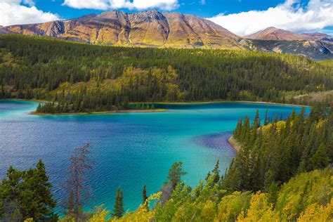 Emerald Lake Emerald Lake Lake Banff National Park