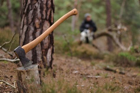 Best Axe For Felling Trees 6 Rugged Options