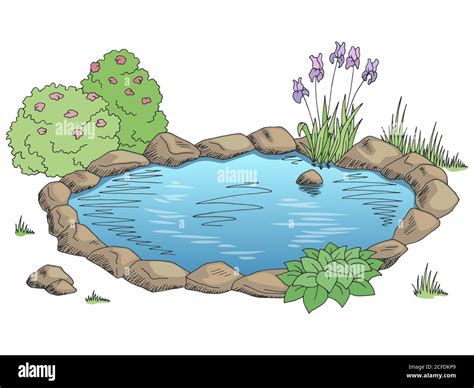 Pond Graphic Color Landscape Sketch Illustration Vector Stock Vector
