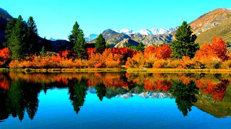 Free Photo Autumn Lake Autumn Reflection Outside Free Download Jooinn