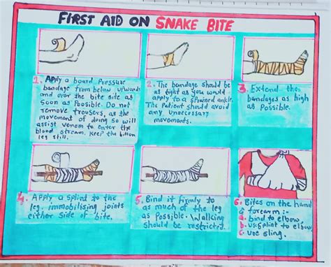 Snake Bite First Aid Chart India Ncc