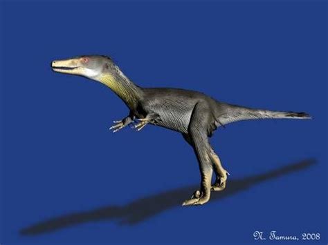 Types Of Raptor Dinosaurs Historical Period Raptor Dinosaur Historical
