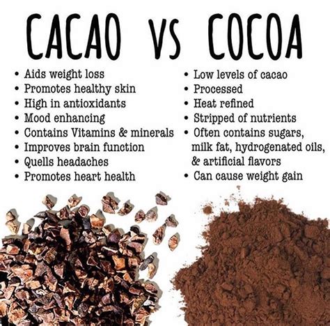 Cacao What It Is Why Its Healthy And How Its Different From Cocoa