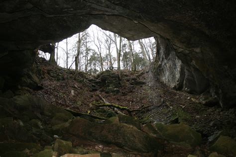 From Inside Cave Entrance Photo Credit Ann Froschauerusf Flickr