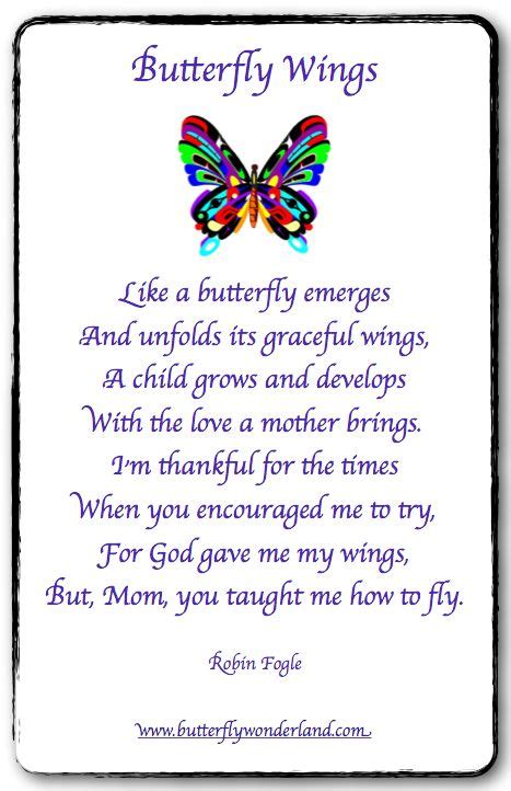 Everything About Butterfly Butterfly Quotes Butterfly Poems