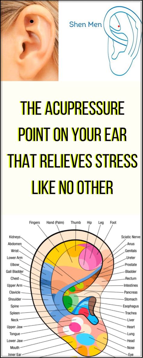Health X — The Acupressure Point On Your Ear That Relieves