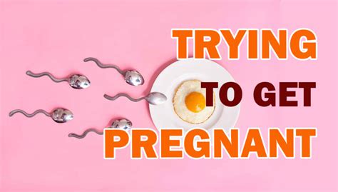 Trying To Get Pregnant Womens Frame