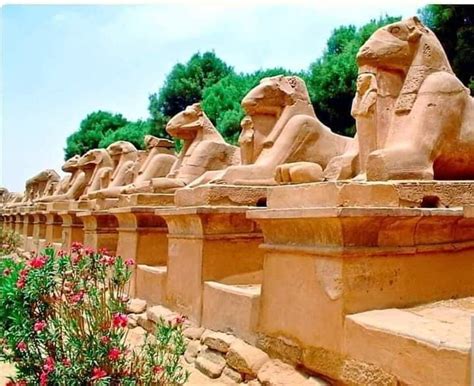 The Opening Of The Sphinxes Avenue In Luxor