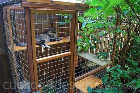 26 Safe And Smartly Organized Outdoor Cat Areas Digsdigs