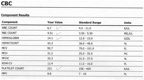 Understanding Your Cbc Complete Blood Count Test Results