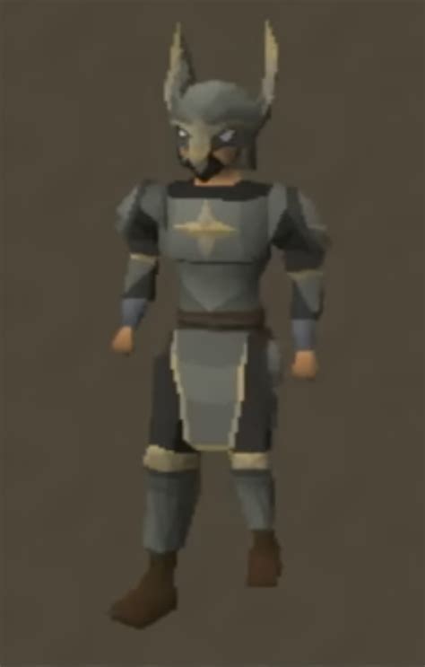I Saw A Guy Wearing This The First Variant Of The Suggested Justiciar