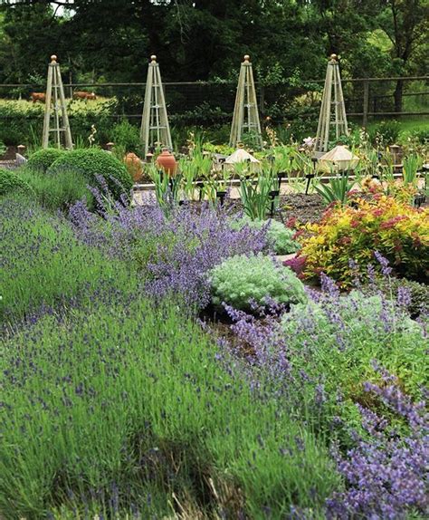 How To Create A French Country Inspired Garden 1000 French Country