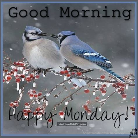 Winter Good Morning Happy Monday Pictures Photos And Images For