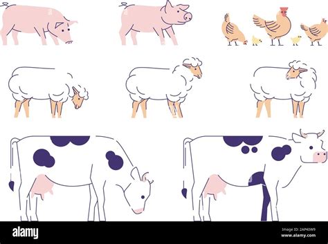 Domestic Animals Flat Vector Illustrations Set Livestock Husbandry