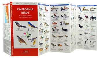 Maybe you would like to learn more about one of these? Birds of California Field Guide, California Bird Identification and Reference Guide For Nature ...