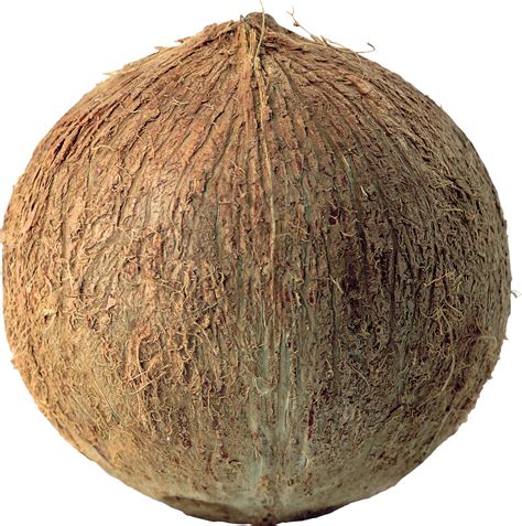 Coconut Png Image