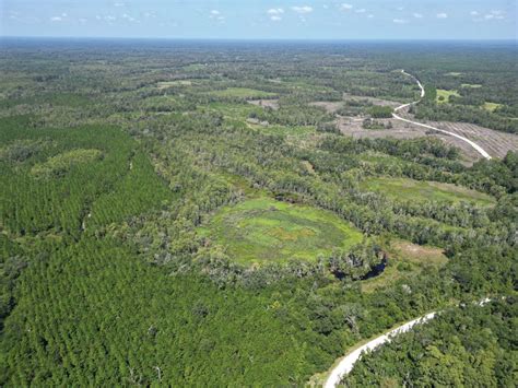 Vac NE 876th Ave, Old Town, FL 32680 | LandWatch